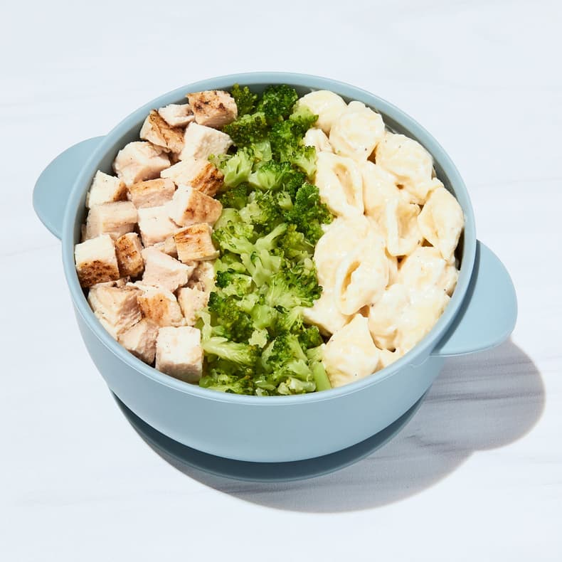 Chicken Alfredo Shells with Broccoli