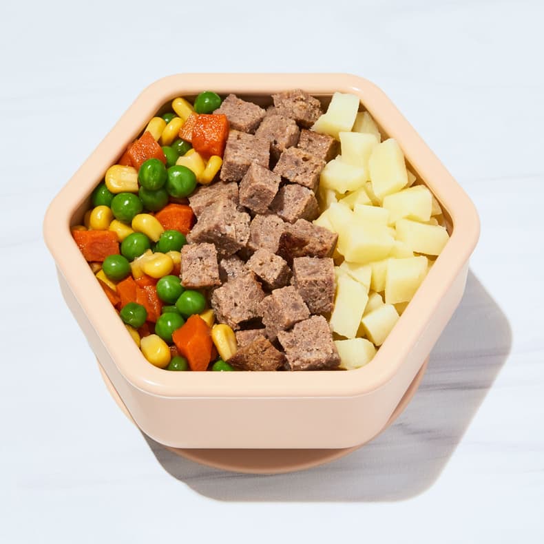 Shepherd's Pie with Rainbow Veggie Medley
