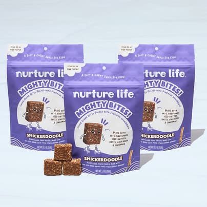 Snickerdoodle Mighty Bites