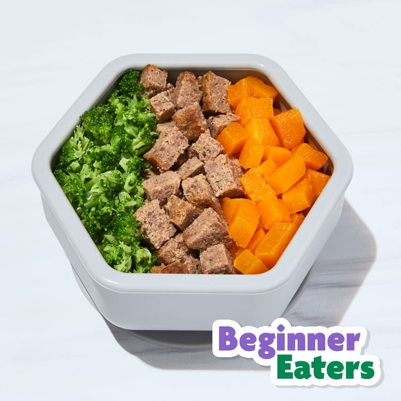 Beef Meatloaf with Broccoli & Squash