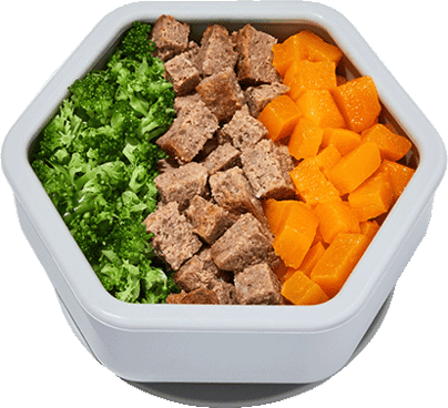 Beef Meatloaf with Broccoli & Squash