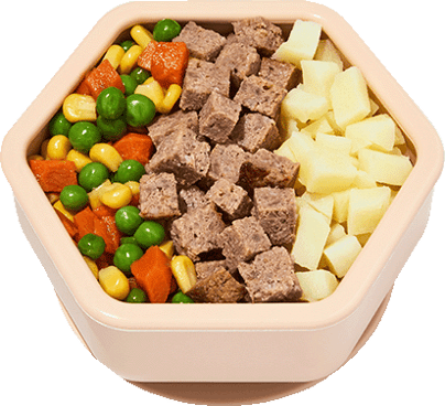 Shepherd's Pie with Rainbow Veggie Medley
