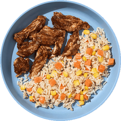 Mexican Chicken Mole with Fiesta Rice